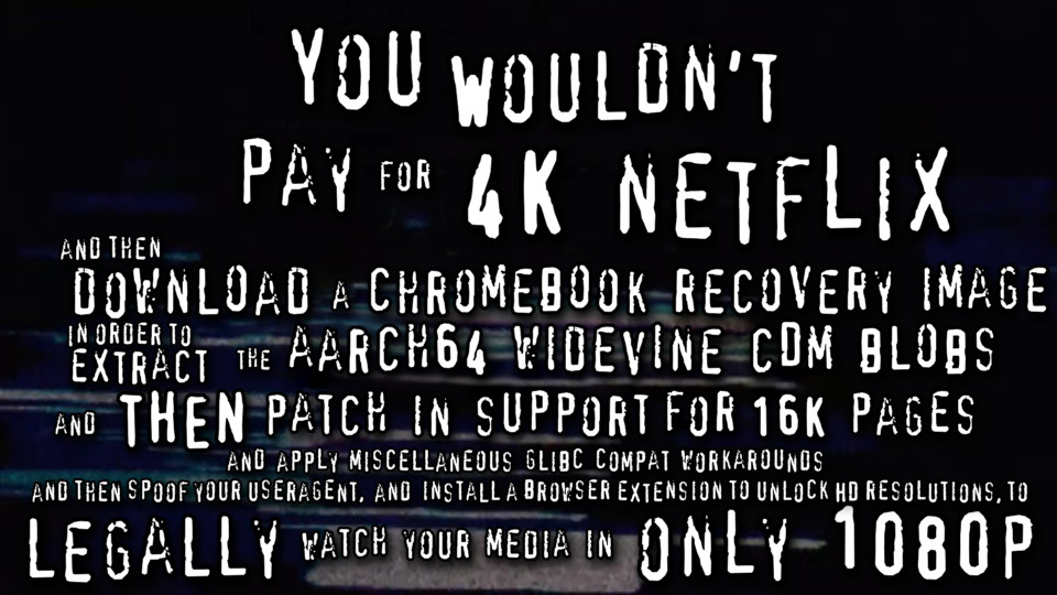 You wouldn't pay for 4K Netflix and then download a chromebook recovery image...